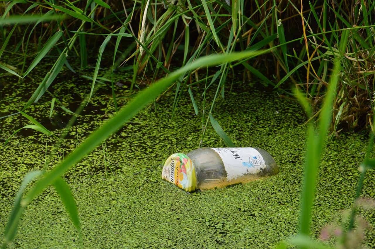 You are currently viewing Pollution du ruisseau du Donic à Querrien : la CLCV porte plainte