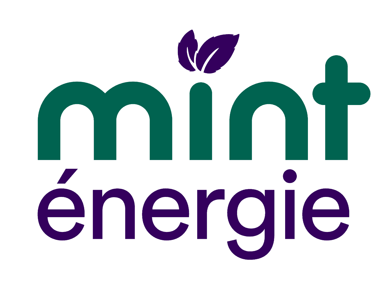 You are currently viewing Électricité/Gaz – Action de groupe contre le fournisseur d’électricité Mint – Police du marché : l’État regarde ailleurs