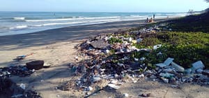 Lire la suite à propos de l’article Déplastifions-nous