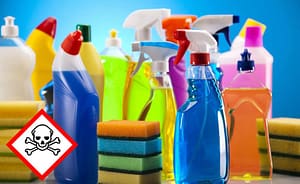 Lire la suite à propos de l’article Atelier « Stop aux toxiques dans la maison »