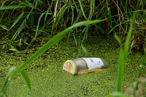 Lire la suite à propos de l’article Pollution du ruisseau du Donic à Querrien : la CLCV porte plainte